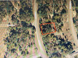 Fisher Trl LOT 14, Ocklawaha, FL 32179