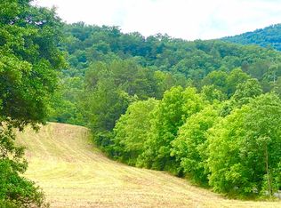Jonica Gap Rd, Mineral Bluff, GA 30559
