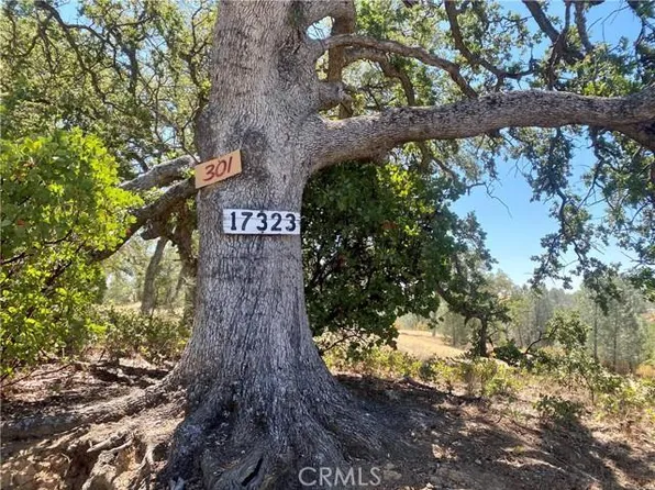 17323 Wagon Wheel Dr, Corning, CA 96021