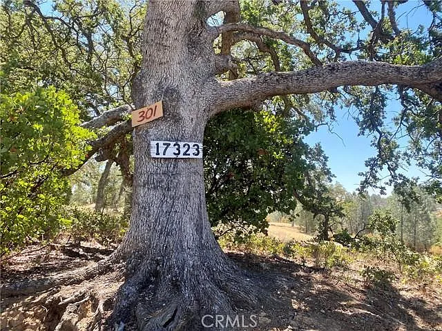 17323 Wagon Wheel Dr photo 1