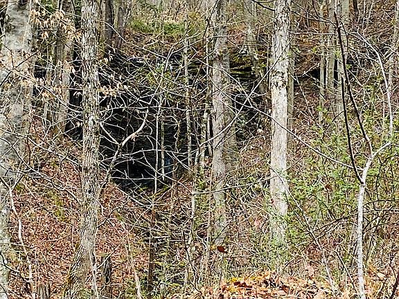 3rd image of 3737 Crane Creek Rd