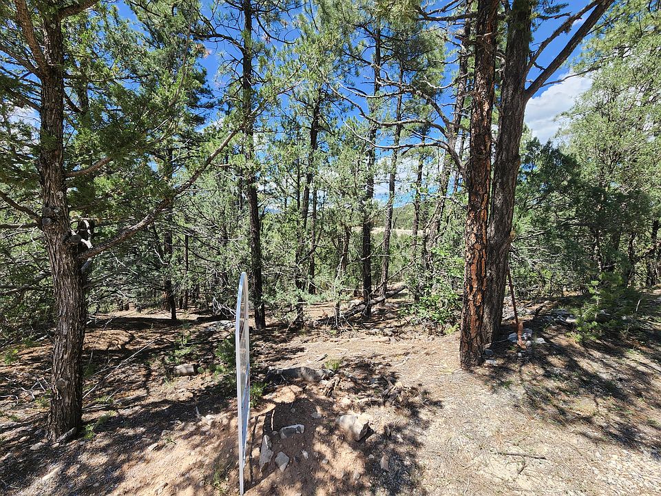 2nd image of 24 Green Shadow Rd