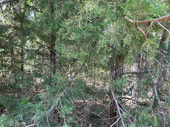 4th image of 106 Red Bluff Loop