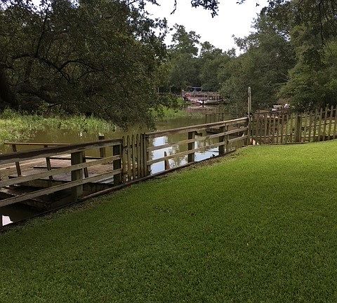 Rear yard