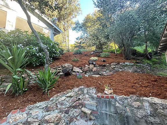 Front garden area