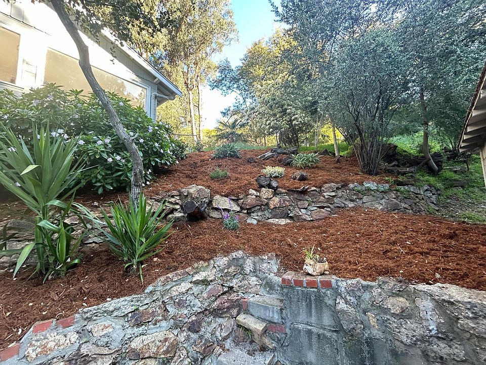 Front garden area