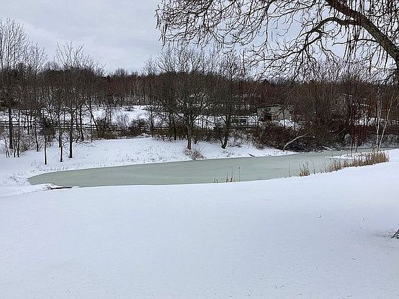 winter pond
