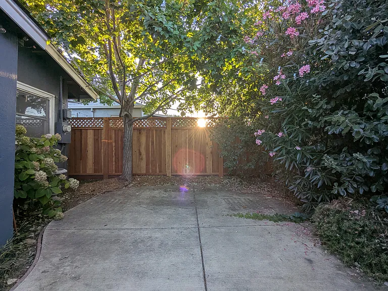 3119 Carly Way — Photo 15