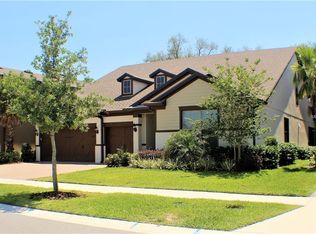 11203 Lark Landing Ct, Riverview, FL 33569