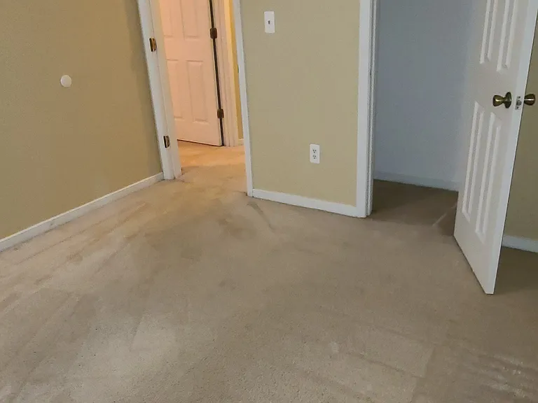 4128 Bush Lake Dr — Photo 19