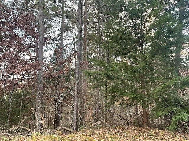 2nd image of 33 Birch Dr Lot 33