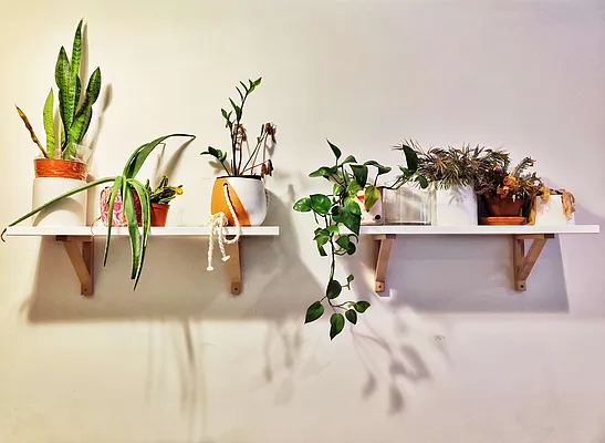 Rented by Union Square Property Management | media 29