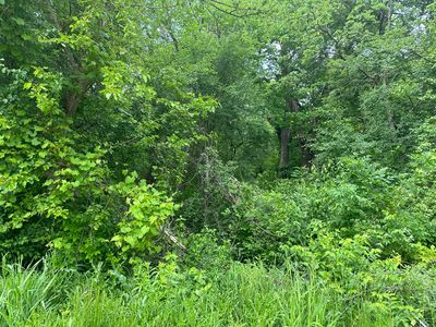 0 Harmony Rd, Huntley, IL, 60142