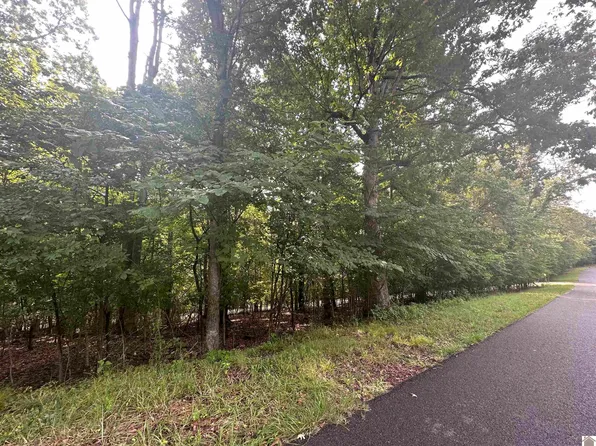 1 Chicadee Dr, Eddyville, KY 42038