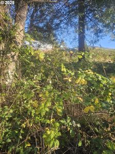 Tl 2100 Seattle Ave, Bay City, OR, 97107