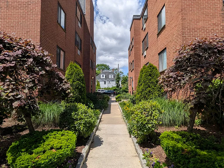 236 Babcock St #2 — Photo 25