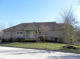 100 Riverview Ct, Bentleyville, OH 44022