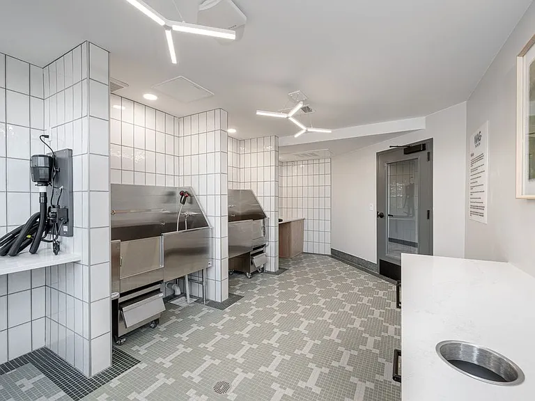 On-site WAG pet spa