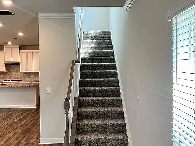14209 Laughing Gull Dr — Photo 12