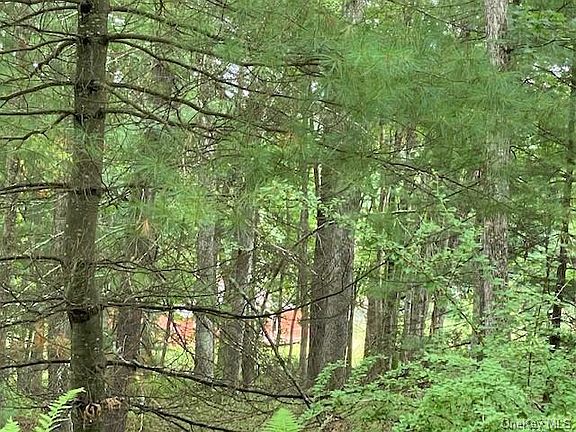 5th image of 283 County Road 22