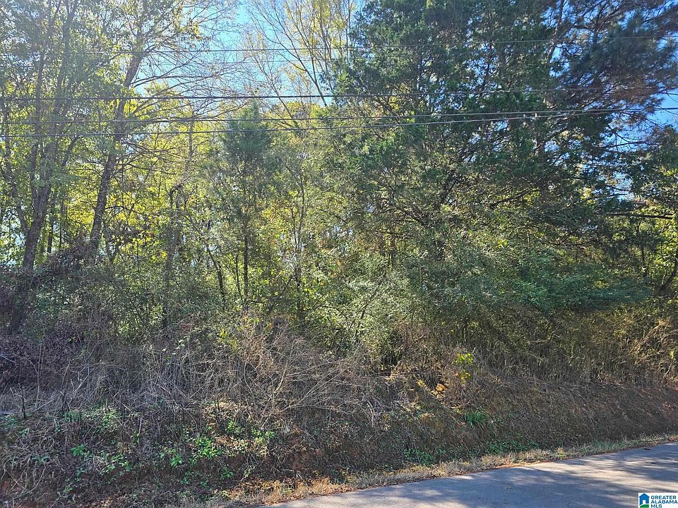 1st image of LOT 3 Union Hill Church Rd