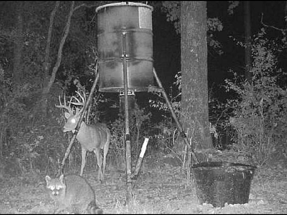 4th image of 200 Golden Dove Rd