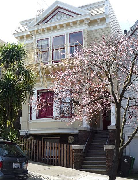 1st image of 531 Belvedere St #2