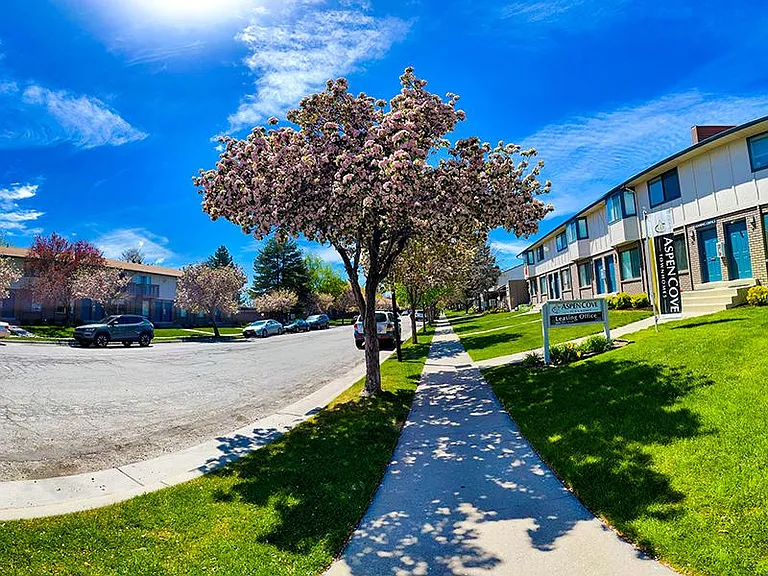 Aspen Cove Townhomes — Photo 17