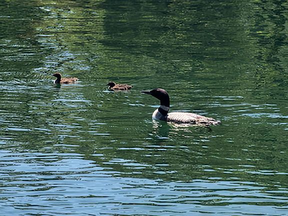 5th image of 39 North Shore Road