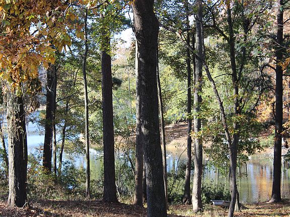 Lake behind home
