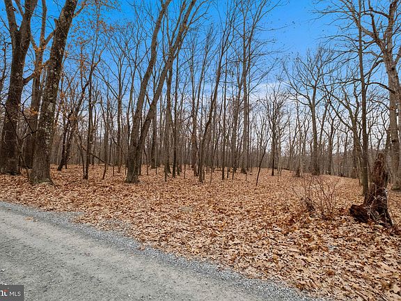 5th image of Hawks Hill Ln