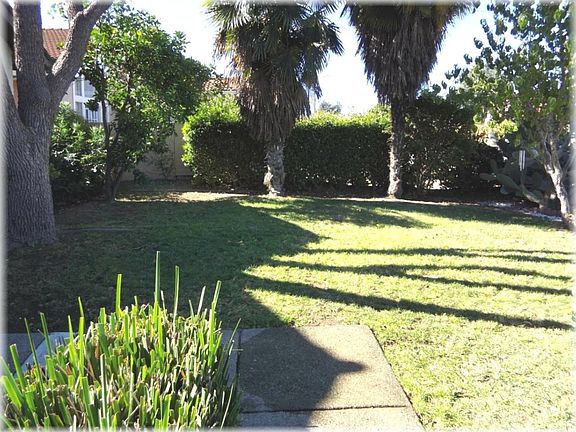 Front Yard