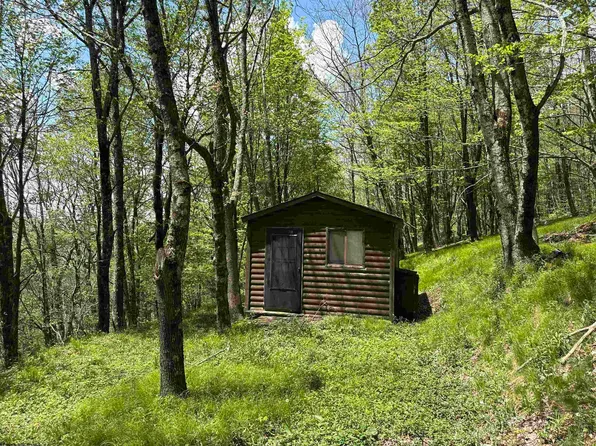 1019 Thunderstruck Rd, Harman, WV 26270