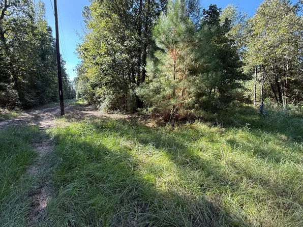 County Road 3385, Lovelady, TX 75851