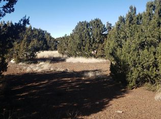 8465 Cochise Cir #15, Show Low, AZ 85901