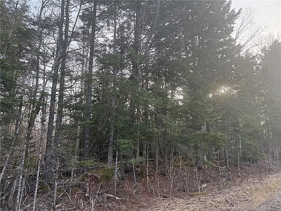 5th image of McKay Loop Rd