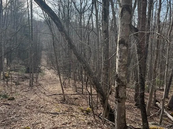 Myron Ct, Shady Spring, WV 25918