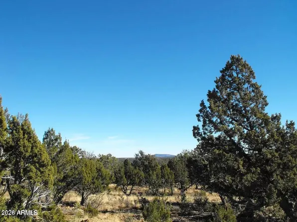 4131 SUNSET RIDGE Loop #176, Happy Jack, AZ 86024