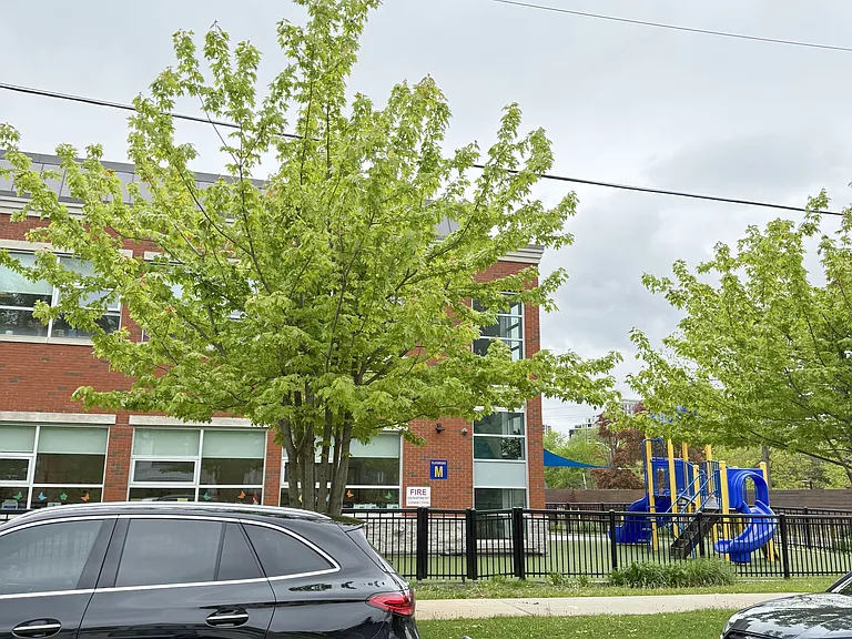 172 Maplehurst Ave — Photo 17