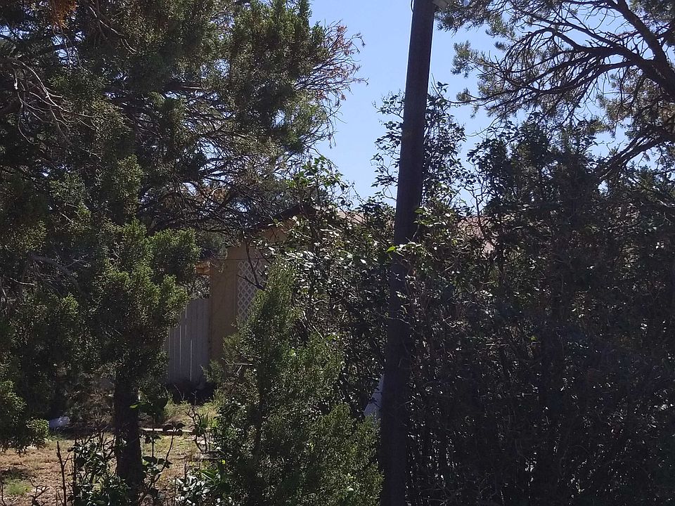 2nd image of 10078 Buckskin Ct
