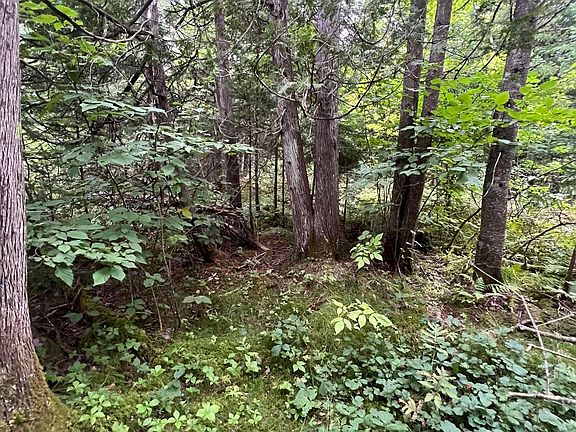 3rd image of 0 Red Schoolhouse Road