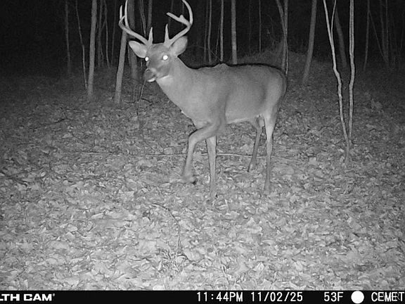 4th image of 0 Wagon Trail Rd