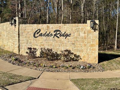 9291 Caddo Ridge Cv, Tyler, TX, 75703