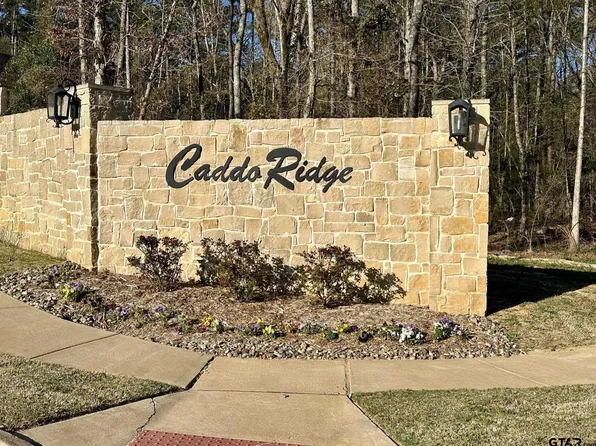 9291 Caddo Ridge Cv, Tyler, TX 75703