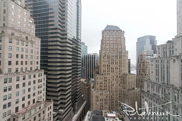 Rented by Platinum Forbes Global Properties | media 7