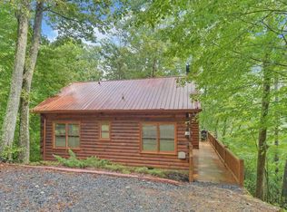 40 Holly Hollow Rd #3, Blue Ridge, GA 30513