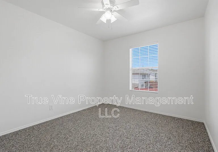 136 Texas Mulberry — Photo 21
