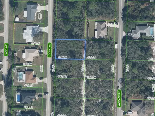 3924 Loquat Rd, Sebring, FL 33875