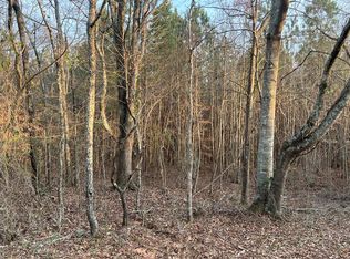 1 Mann Rd, Shiloh, GA 31826