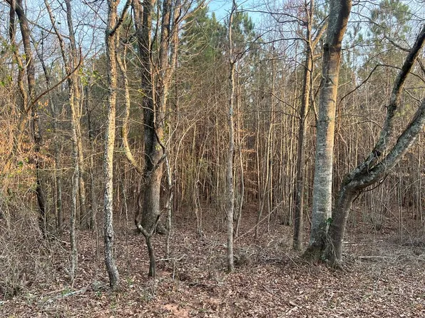 1 Mann Rd, Shiloh, GA 31826